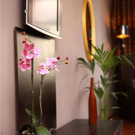 Fancy House Apartment *